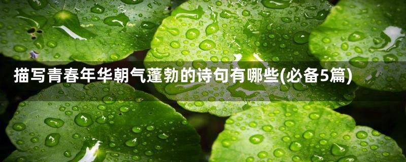 描写青春年华朝气蓬勃的诗句有哪些(必备5篇)