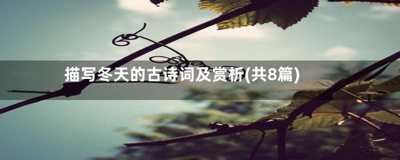 描写冬天的古诗词及赏析(共8篇)