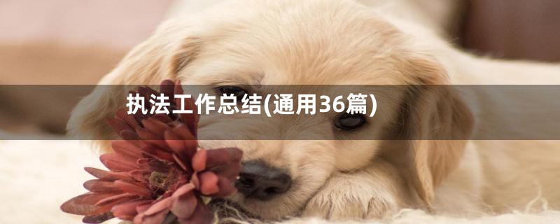 执法工作总结(通用36篇)
