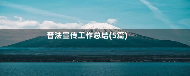普法宣传工作总结(5篇)