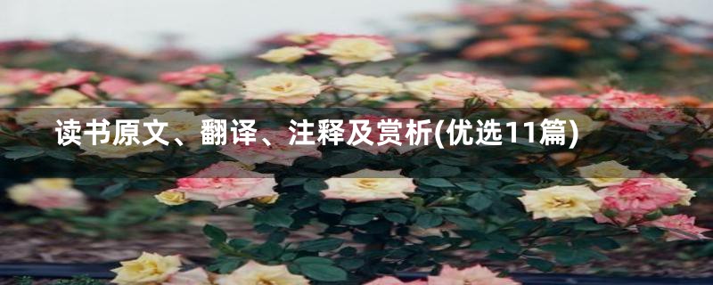 读书原文、翻译、注释及赏析(优选11篇)