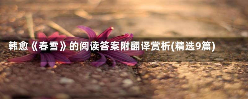韩愈《春雪》的阅读答案附翻译赏析(精选9篇)
