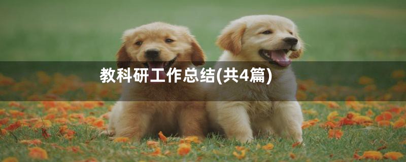 教科研工作总结(共4篇)