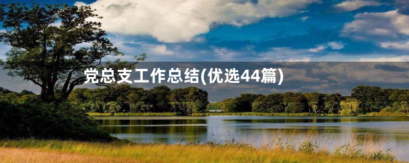 党总支工作总结(优选44篇)