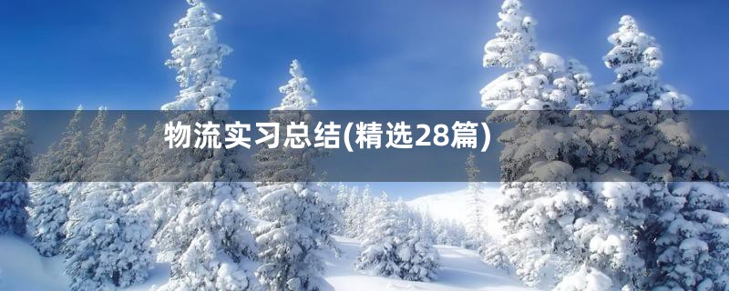 物流实习总结(精选28篇)