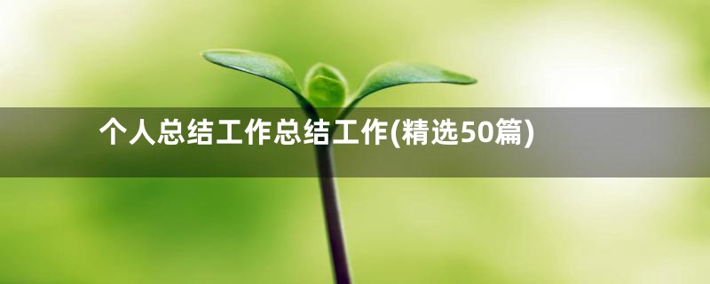 个人总结工作总结工作(精选50篇)