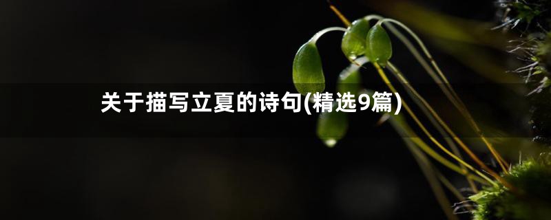 关于描写立夏的诗句(精选9篇)