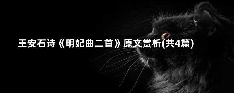 王安石诗《明妃曲二首》原文赏析(共4篇)