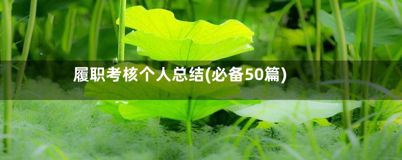 履职考核个人总结(必备50篇)
