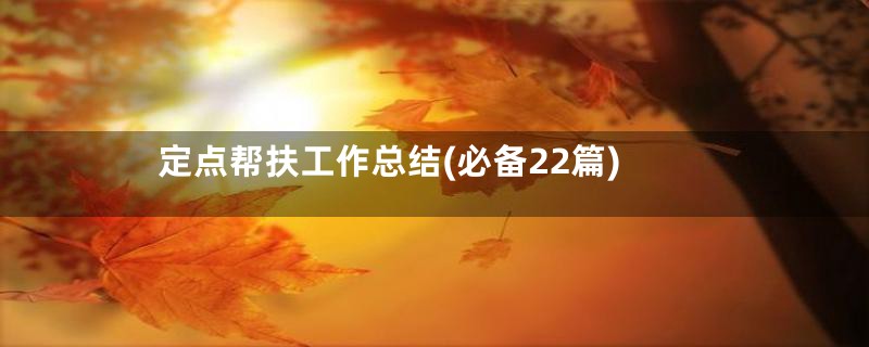 定点帮扶工作总结(必备22篇)