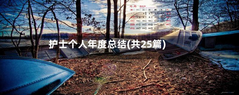护士个人年度总结(共25篇)