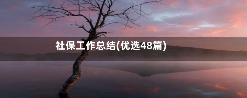 社保工作总结(优选48篇)