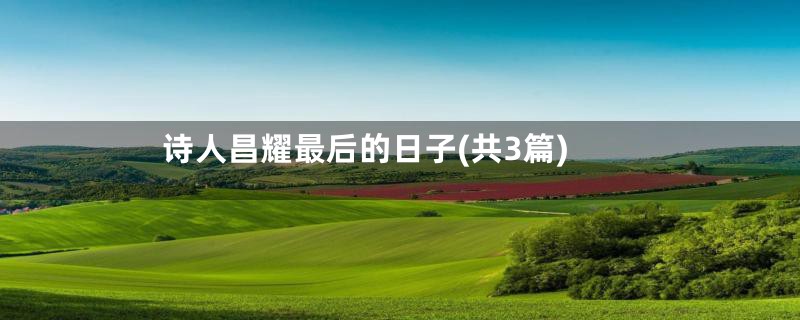 诗人昌耀最后的日子(共3篇)