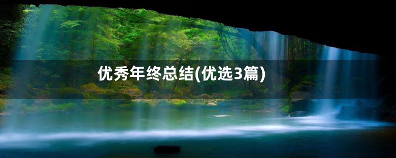 优秀年终总结(优选3篇)