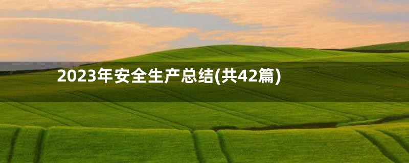2023年安全生产总结(共42篇)