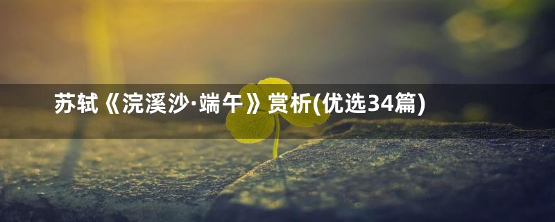 苏轼《浣溪沙·端午》赏析(优选34篇)