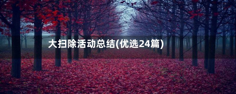 大扫除活动总结(优选24篇)
