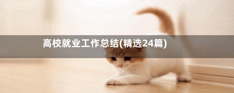 高校就业工作总结(精选24篇)