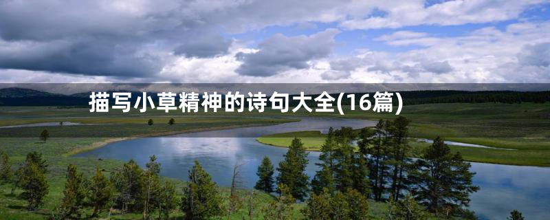 描写小草精神的诗句大全(16篇)