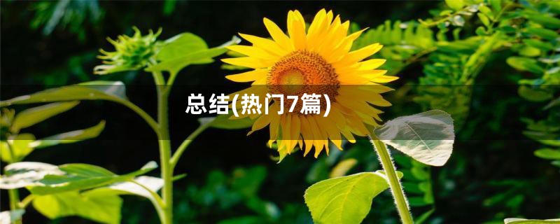 总结(热门7篇)