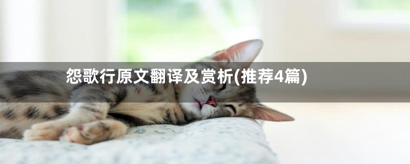 怨歌行原文翻译及赏析(推荐4篇)