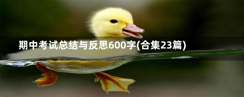 期中考试总结与反思600字(合集23篇)