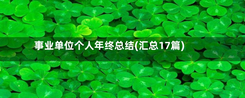 事业单位个人年终总结(汇总17篇)