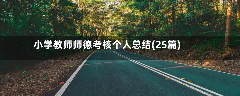 小学教师师德考核个人总结(25篇)