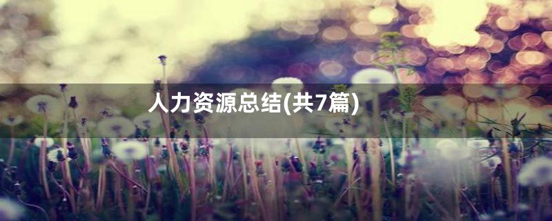 人力资源总结(共7篇)