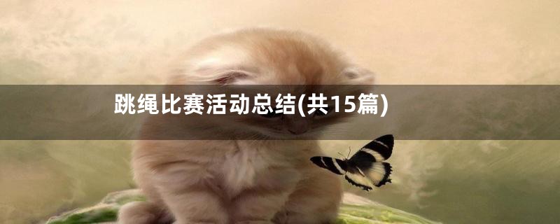 跳绳比赛活动总结(共15篇)