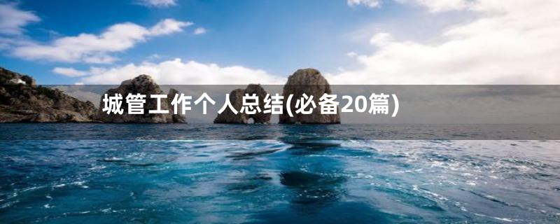城管工作个人总结(必备20篇)