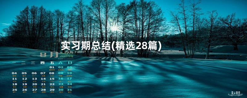 实习期总结(精选28篇)
