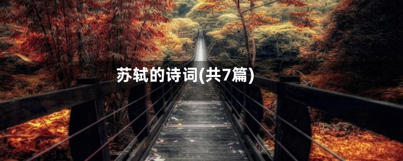 苏轼的诗词(共7篇)