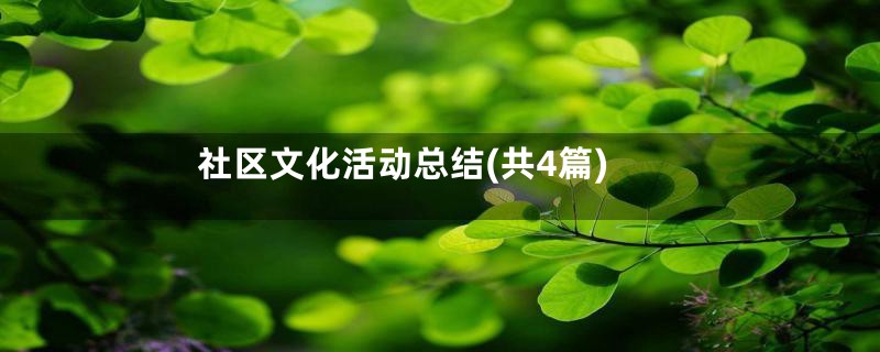 社区文化活动总结(共4篇)