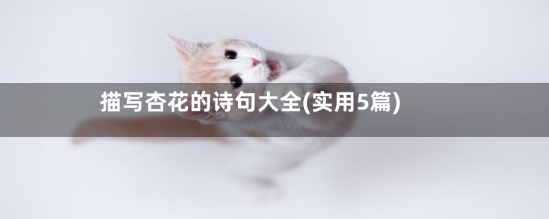 描写杏花的诗句大全(实用5篇)