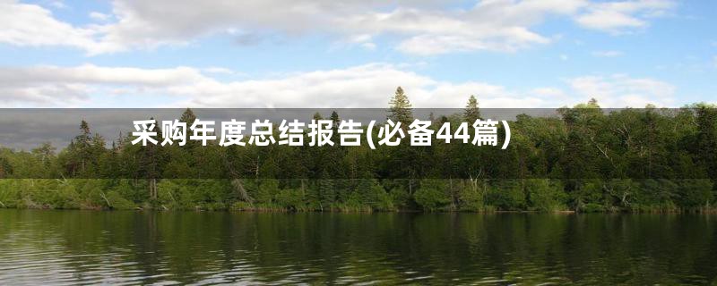 采购年度总结报告(必备44篇)