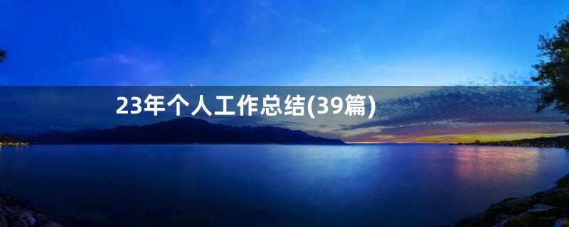 23年个人工作总结(39篇)