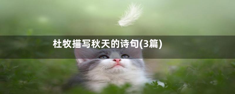 杜牧描写秋天的诗句(3篇)