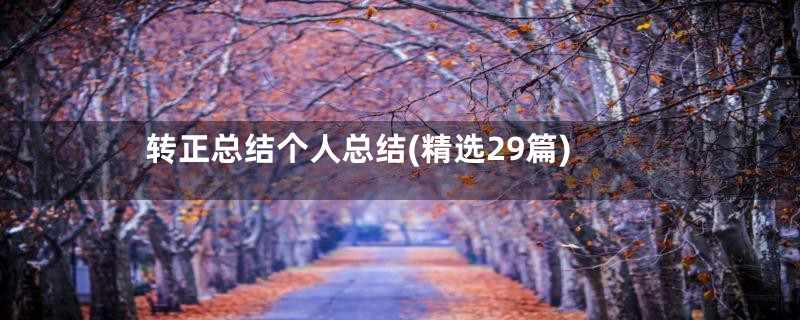 转正总结个人总结(精选29篇)