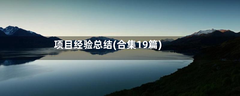 项目经验总结(合集19篇)
