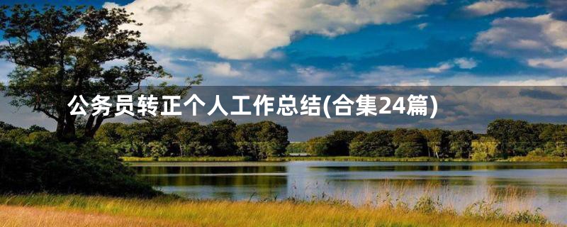 公务员转正个人工作总结(合集24篇)