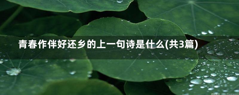 青春作伴好还乡的上一句诗是什么(共3篇)