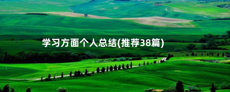 学习方面个人总结(推荐38篇)