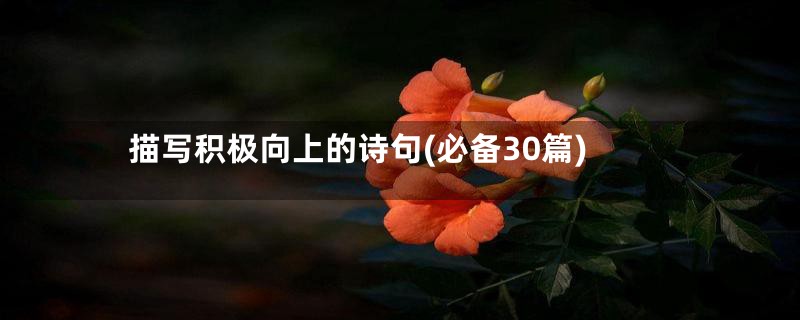 描写积极向上的诗句(必备30篇)