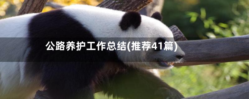 公路养护工作总结(推荐41篇)