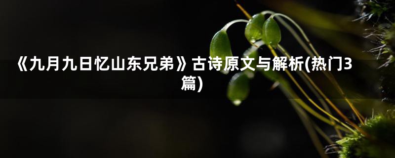 《九月九日忆山东兄弟》古诗原文与解析(热门3篇)