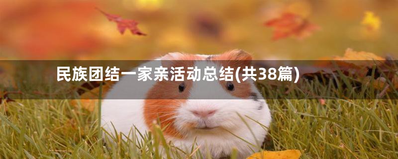 民族团结一家亲活动总结(共38篇)