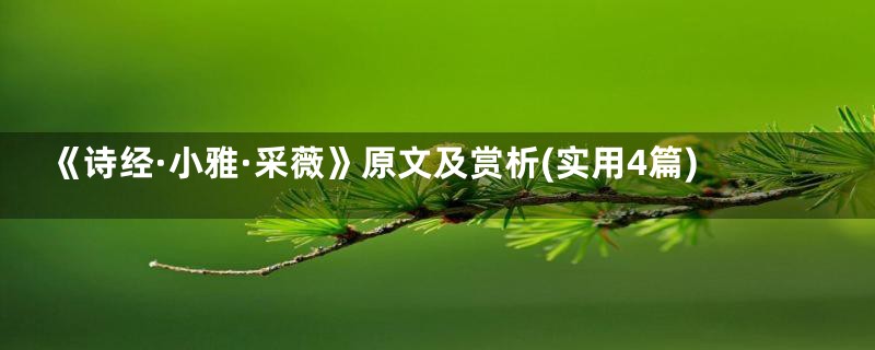 《诗经·小雅·采薇》原文及赏析(实用4篇)