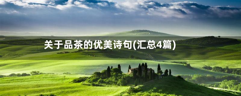 关于品茶的优美诗句(汇总4篇)