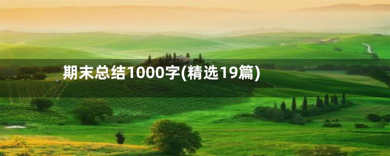 期末总结1000字(精选19篇)